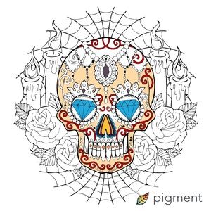 Meet your Posher, Raânysia